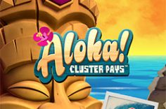 Play Aloha! Cluster Pays slot at Pin Up