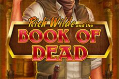 Play Book of Dead slot at Pin Up