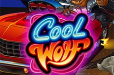 Play Cool Wolf slot at Pin Up