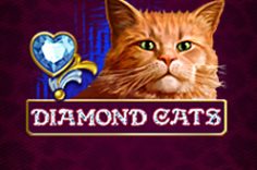 Play Diamond Cats slot at Pin Up