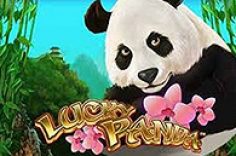 Play Lucky Panda slot at Pin Up