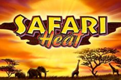 Play Safari Heat slot at Pin Up