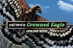 Play Untamed Crowned Eagle slot at Pin Up