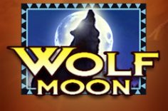 Play Wolf Moon slot at Pin Up